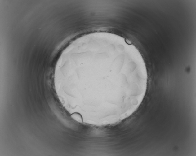 X0000115840346200912242021