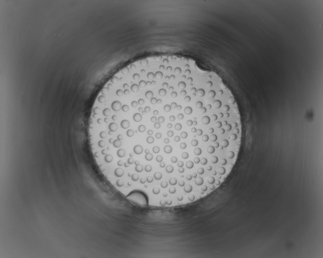 X0000115840354200912242021