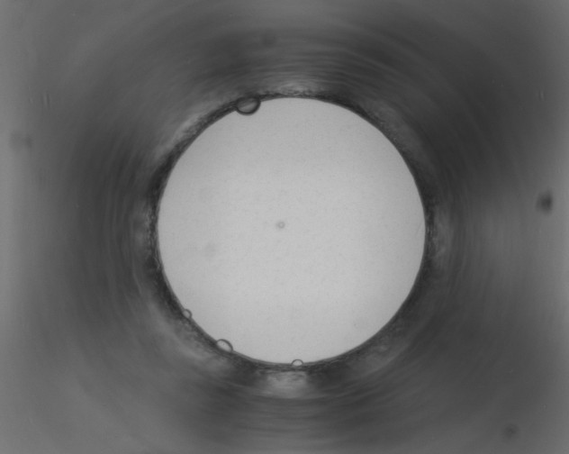 X0000115840355200912242021