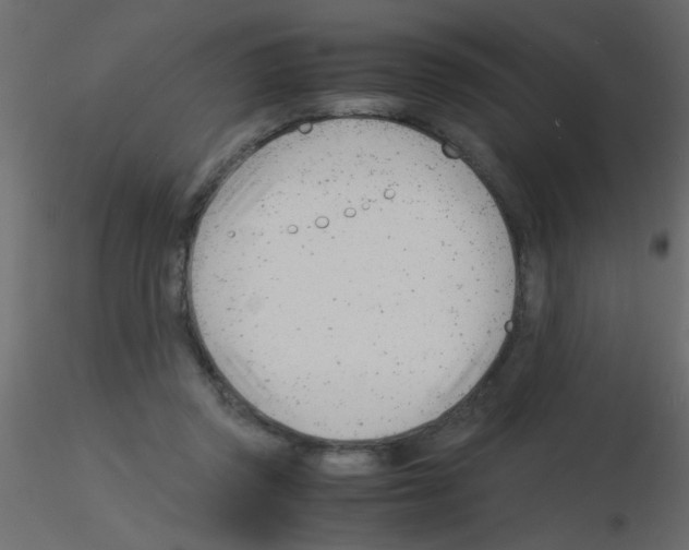 X0000115840357200912242021