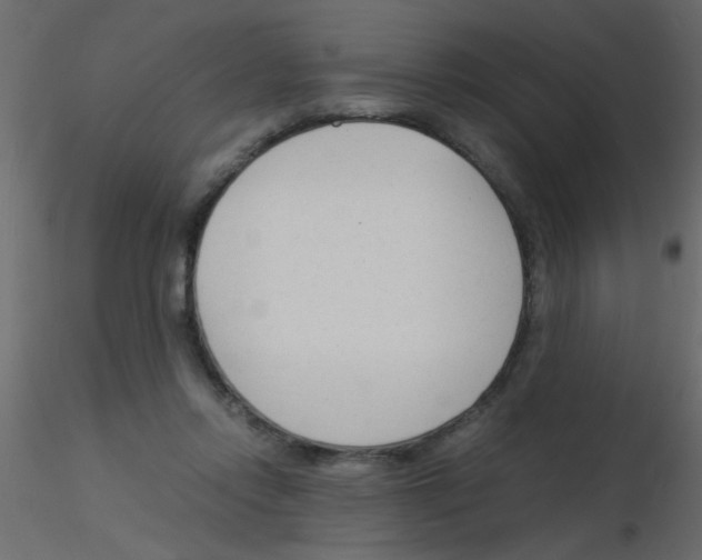 X0000115840358200912242021