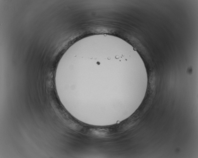 X0000115840359200912242021