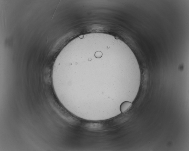 X0000115840361200912242021