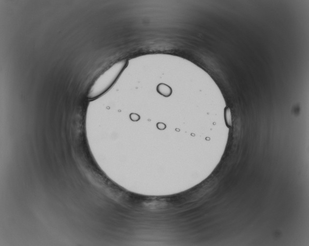 X0000115840362200912242021