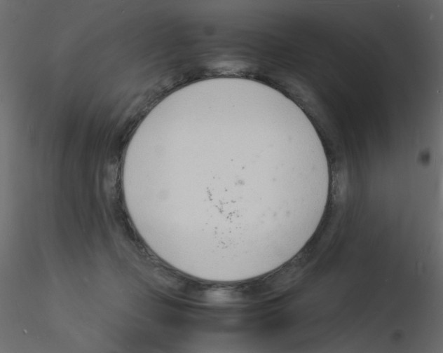 X0000115840365200912242022