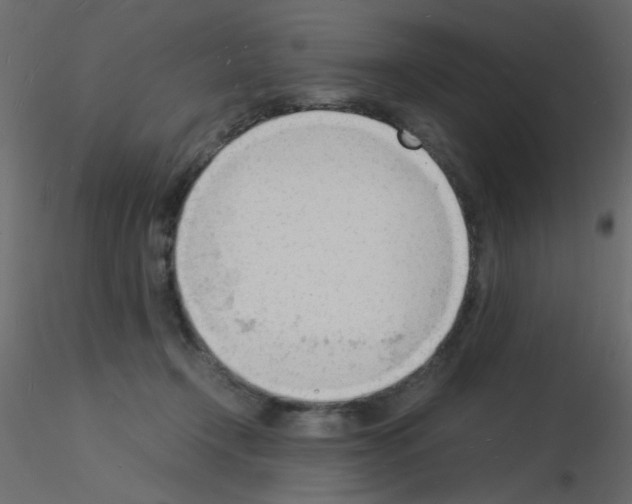 X0000115840366200912242022