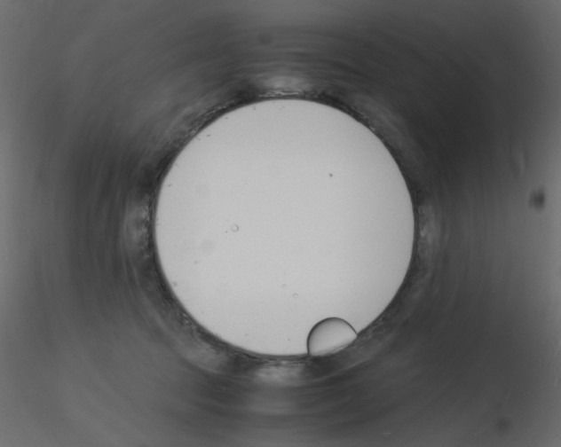 X0000115840369200912242022