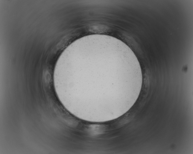 X0000115840371200912242022