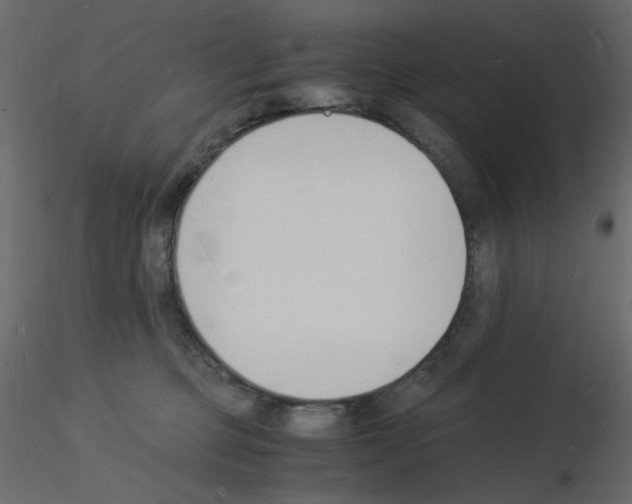 X0000115840373200912242022