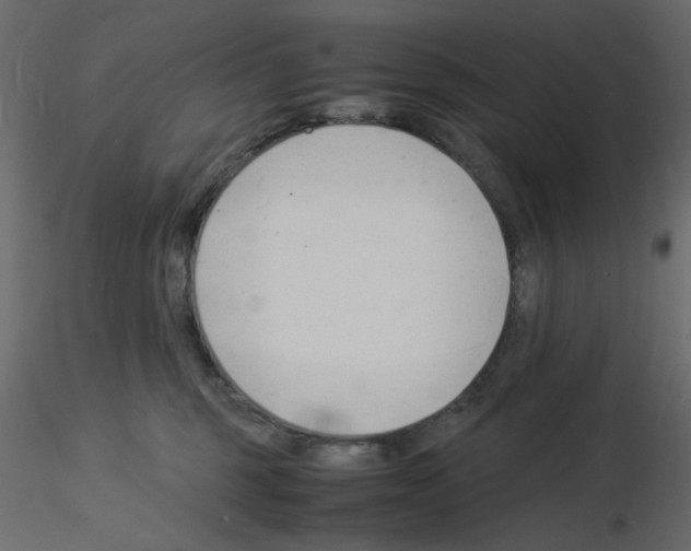 X0000115840375200912242022