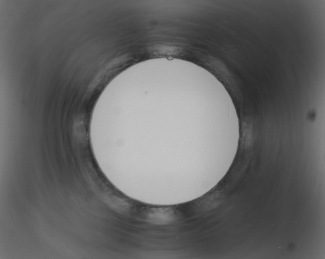 X0000115840377200912242022