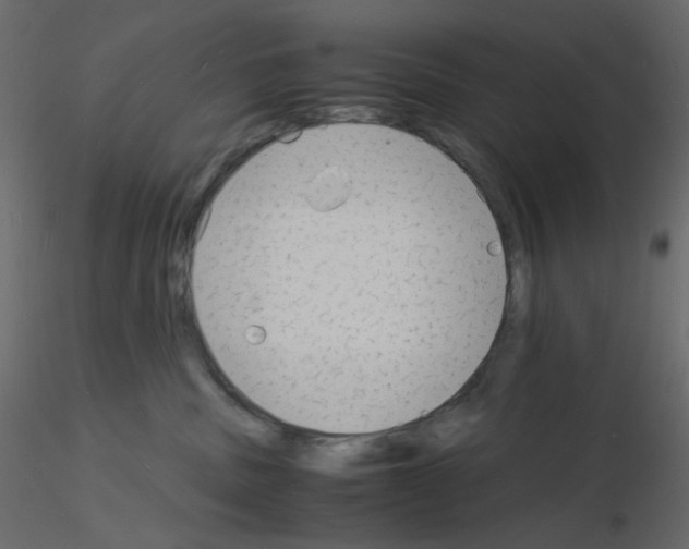 X0000115840379200912242022