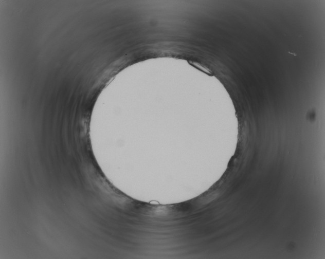 X0000115840382200912242022