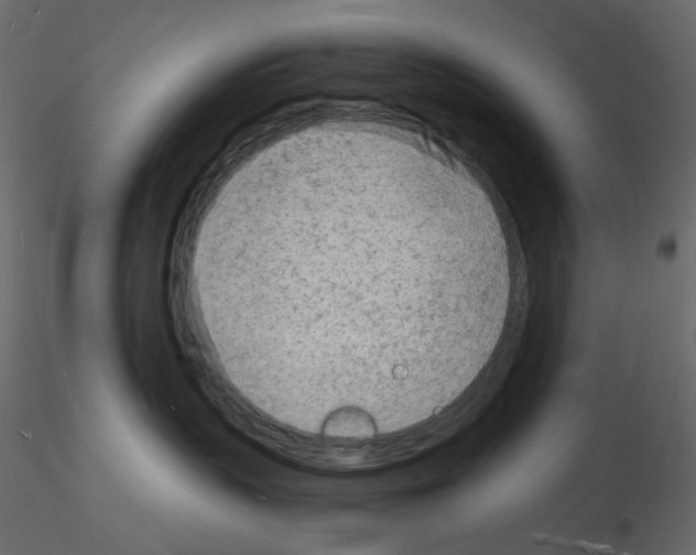 X0000115840383200912242022