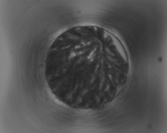 X0000115840385200912242021