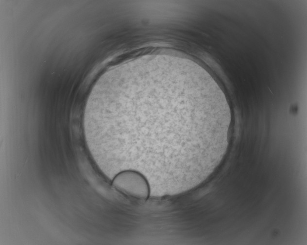 X0000115840386200912242021