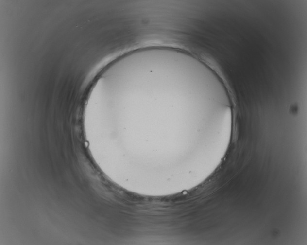 X0000115840387200912242021