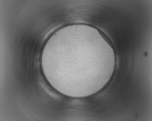 X0000115840390200912242021