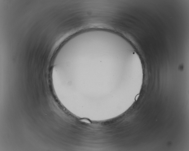 X0000115840391200912242021