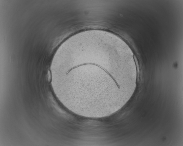 X0000115840393200912242021