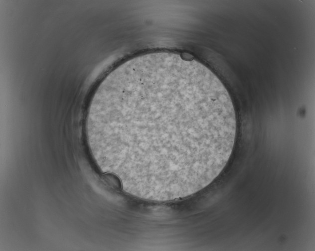 X0000115840395200912242021