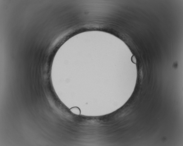 X0000115840396200912242021