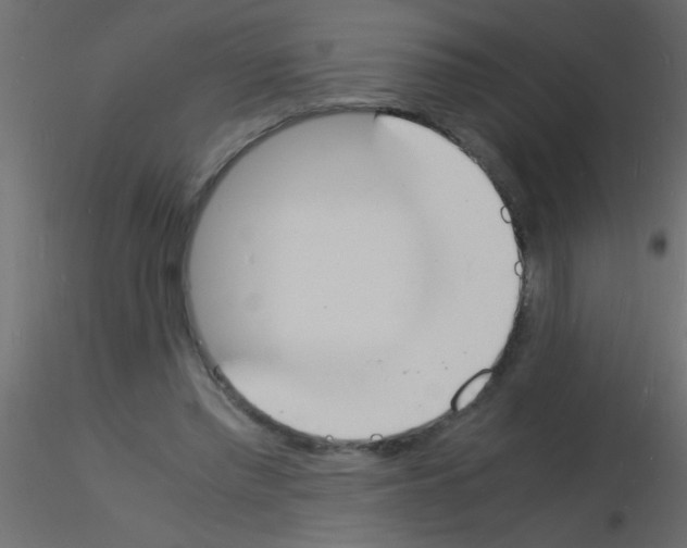 X0000115840397200912242021