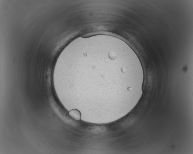 X0000115840398200912242021