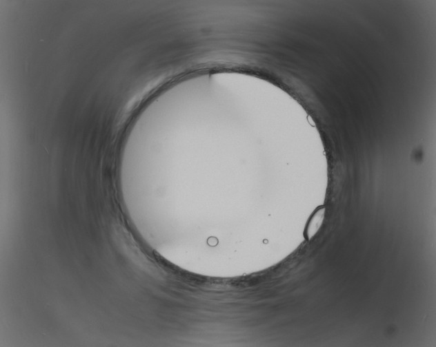 X0000115840399200912242021