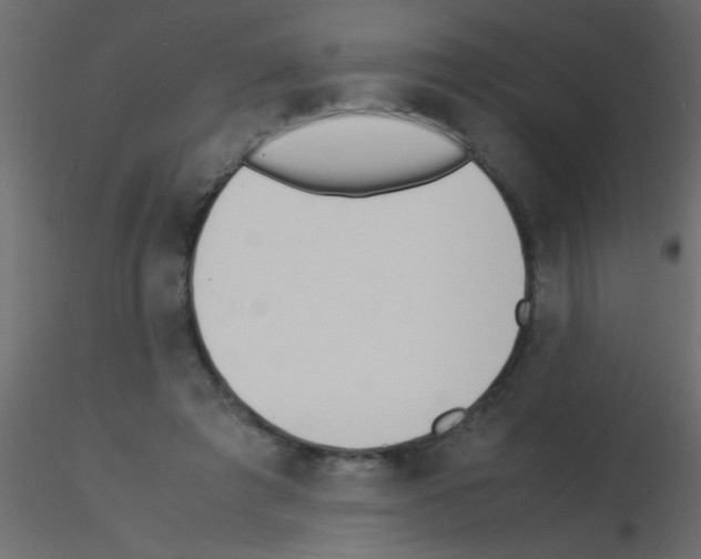 X0000115840401200912242021