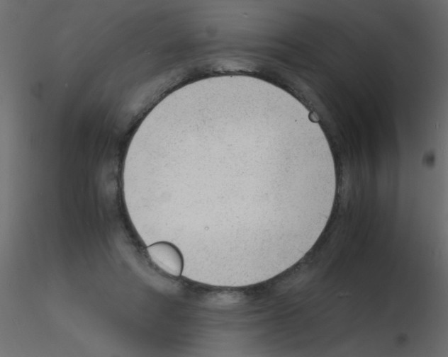 X0000115840402200912242021