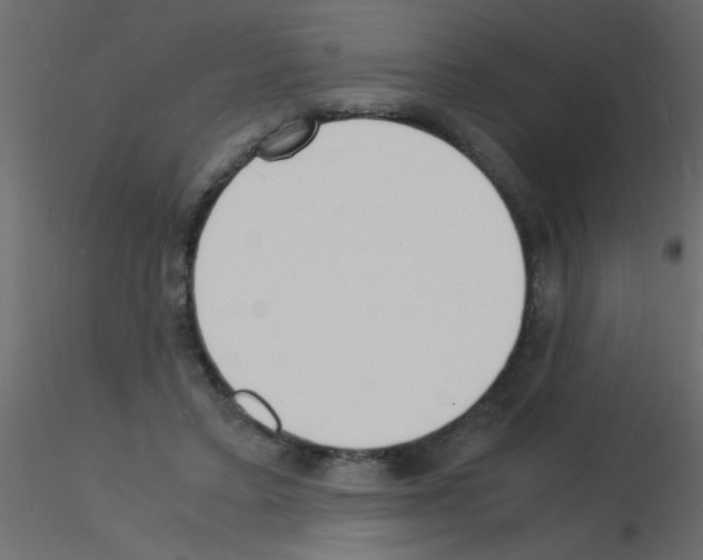 X0000115840403200912242021