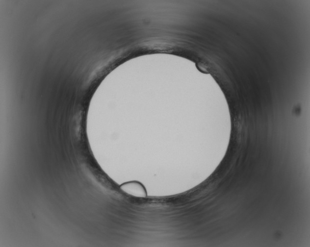 X0000115840404200912242021