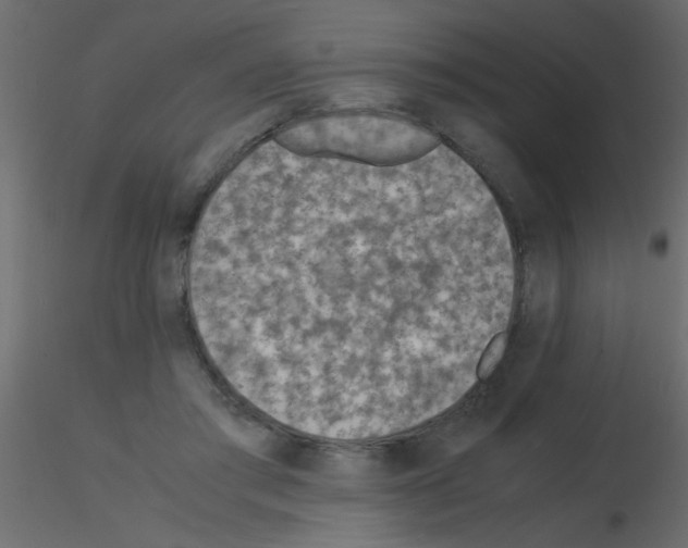 X0000115840405200912242021