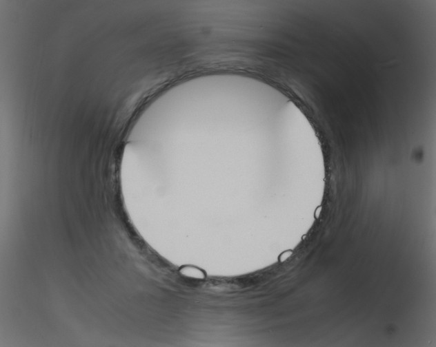 X0000115840407200912242021