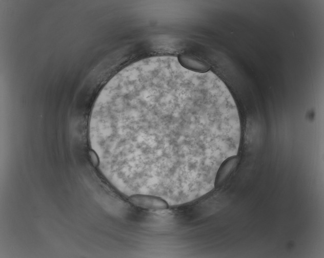 X0000115840409200912242021