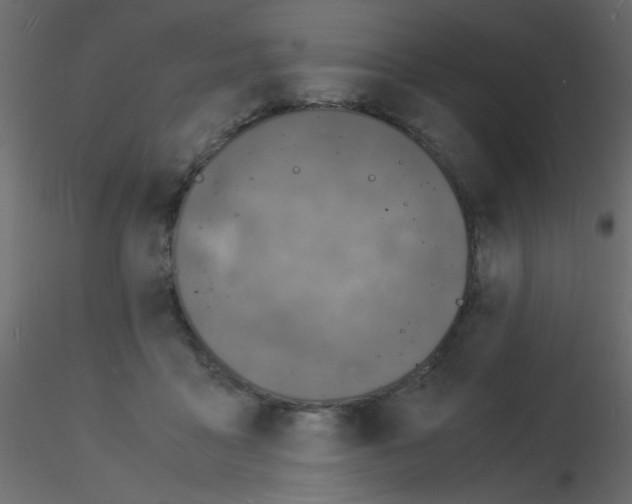 X0000115840411200912242021