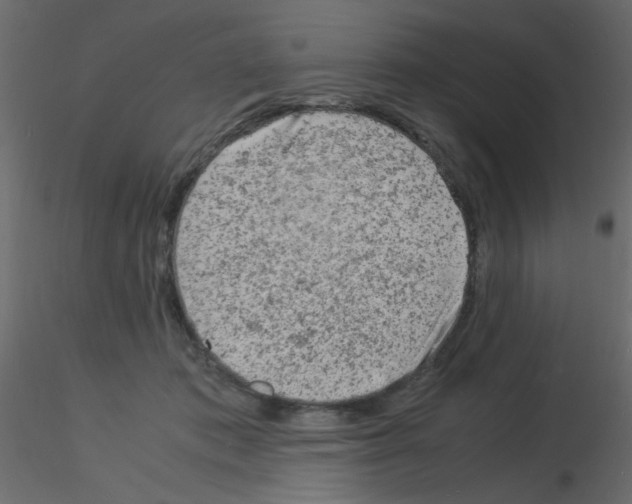 X0000115840413200912242021