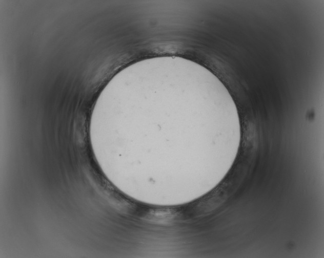 X0000115840414200912242021