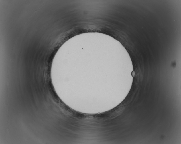 X0000115840416200912242021