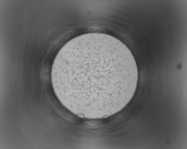 X0000115840417200912242021