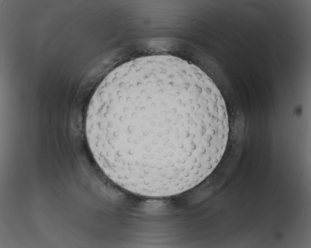 X0000115840418200912242021