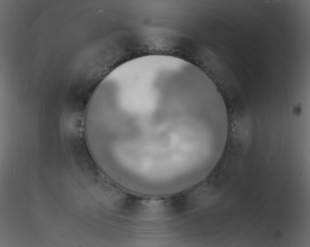 X0000115840419200912242021