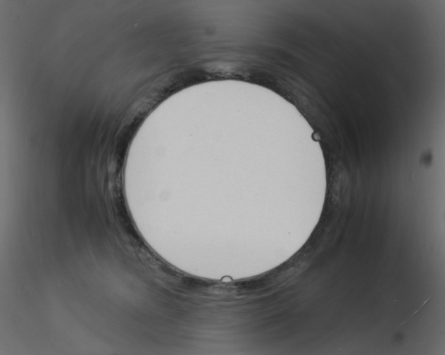 X0000115840420200912242021