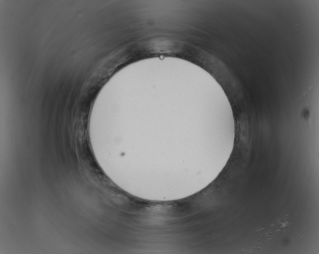 X0000115840422200912242021