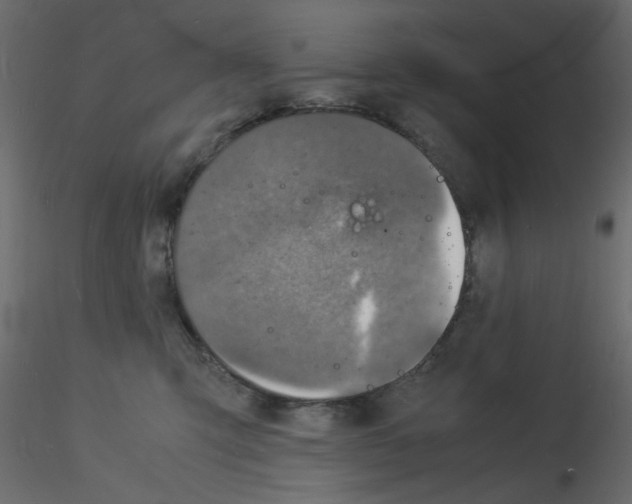 X0000115840423200912242021