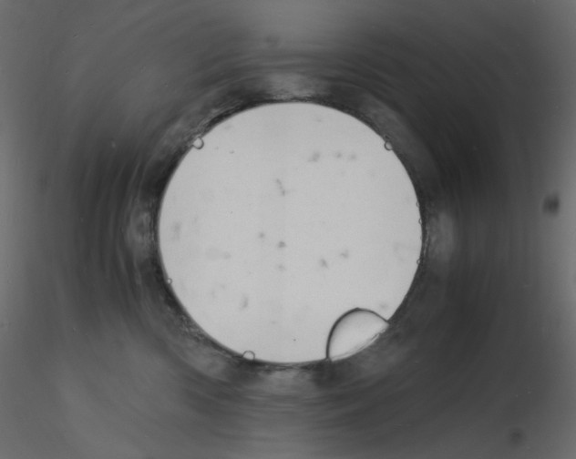 X0000115840426200912242021