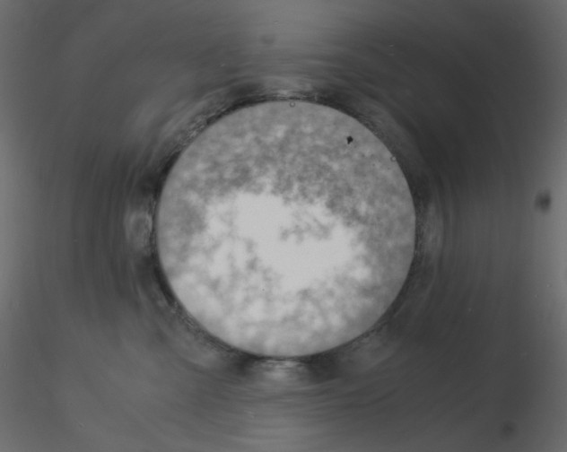 X0000115840427200912242021