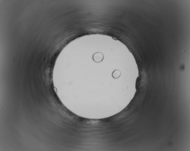 X0000115840428200912242021