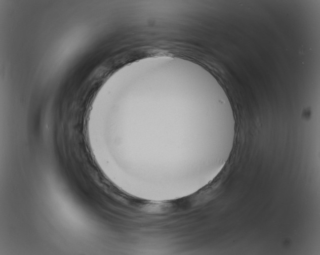 X0000115840429200912242021